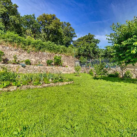 Jardins Da Aurora - Cozy With Private Garden And Parking